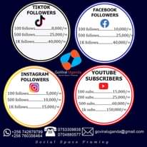 A picture of SOCIAL MEDIA SERVICES