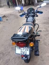 A picture of boxer hd 125
