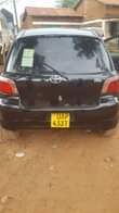 A picture of Vitz