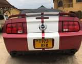 A picture of Ford mustang mil 20