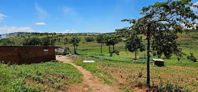 land