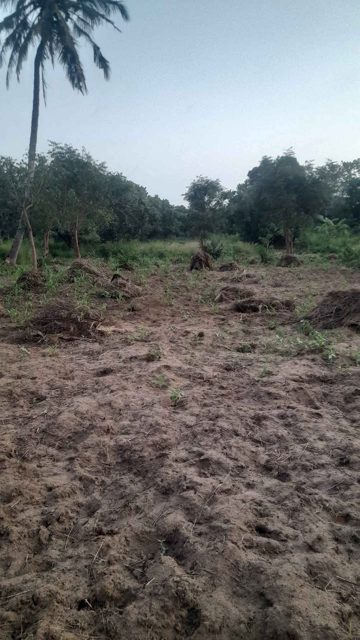 A picture of Cheapest lands and beach plots within MALINDI KILIFI COUNTY an