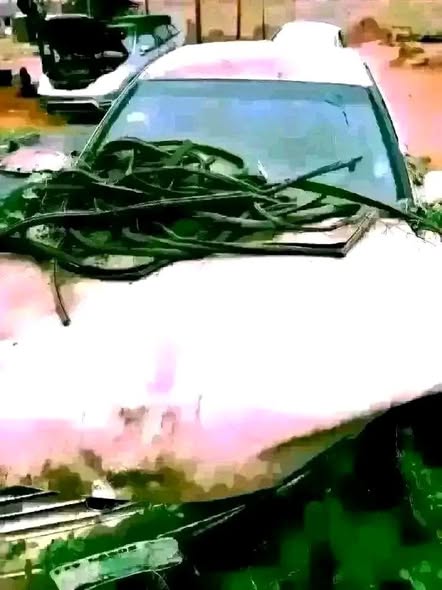 A picture of I buy Faulty Cars Old Cars Burnt Cars Accident Cars