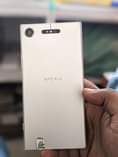 A picture of Xz1