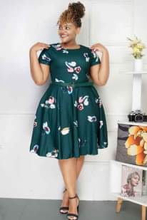 A picture of Skater Dress