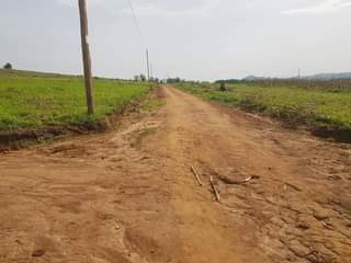 A picture of Kakiri Nsibamanyo estate on sale with titles