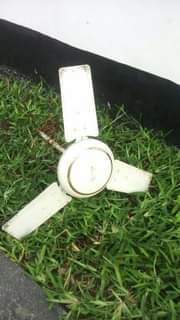 A picture of PANGA BOI NDOGO