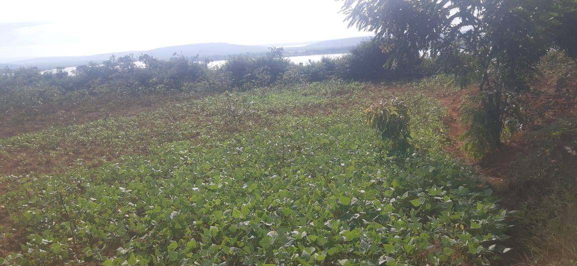 land