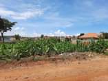 A picture of LAND DEAL IN KIRA NSASA AT UGX56M