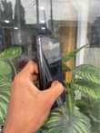 A picture of Iphone X 256GB