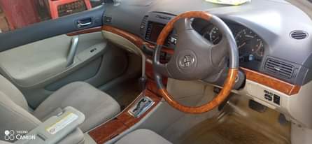 A picture of 19m 0705471381