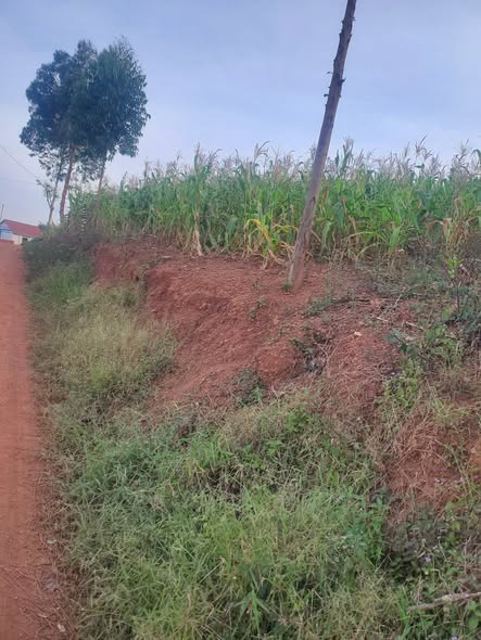 A picture of Plots