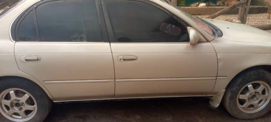 A picture of Toyota collora kikumi