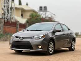 A picture of Fuel subsidy cure Choose your color and send a DM