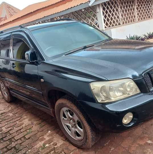 A picture of Kruger UBA on quick sale Call 0753582273