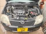 A picture of Royota runex