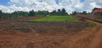 A picture of Kiira estate plots 50by100 available with land title at 130m