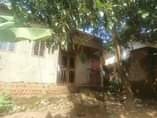 A picture of House on sale located at salama munyonyo rd Kabuma Has