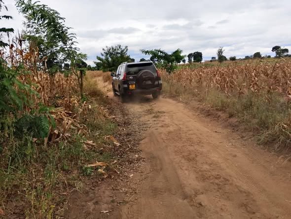 A picture of LAND FOR SALE SIZE 31 ACRES 265989849411