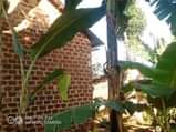 A picture of House for sale Price 5 8millions