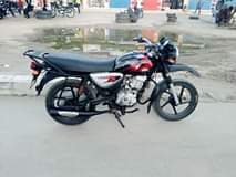 A picture of BOXER GIA 5 TANO IPO TANDIKA