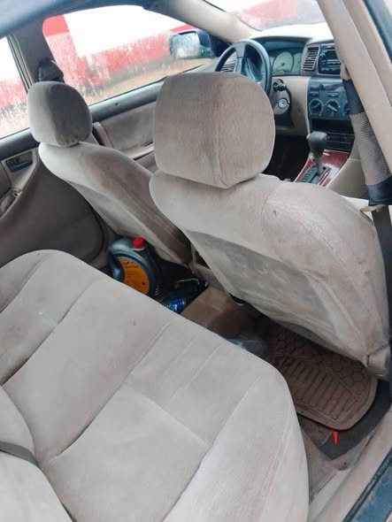 A picture of 2004 TOYOTA COROLLA 2004 FIRST BODY 2004