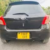 A picture of Vitz