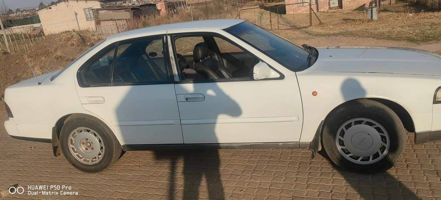 Mpumalanga L.