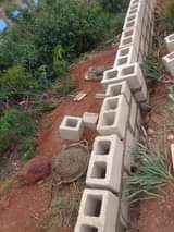 A picture of Estate management and building construction