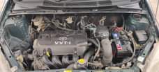 A picture of Vitz