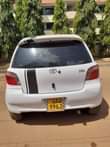 A picture of Vitz