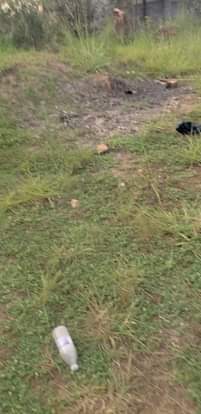 A picture of It s a plot on sale at 650m