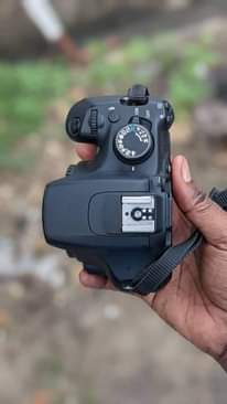 A picture of Canon D1200