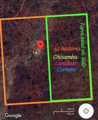 chisamba
