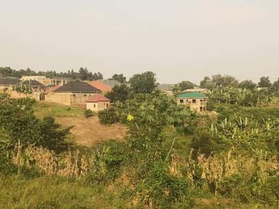 houses matugga