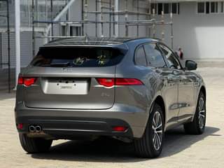 A picture of Jaguars