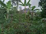 A picture of Half an acre for sale at Matugga kitanda