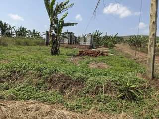 A picture of  TITLED PLOTS IN WAKISO KAKIRI NSIMBA ESTATE FROM 12M