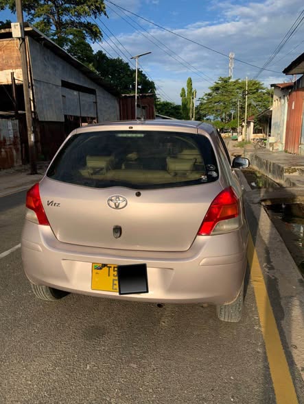 A picture of vitz