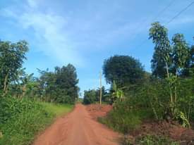 A picture of 5 acres of land