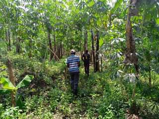 A picture of LAND ON SALE