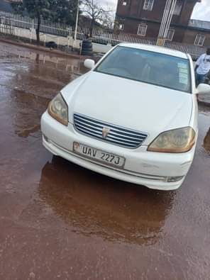 A picture of 14m 0743386797