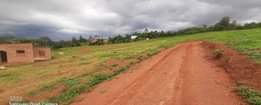 A picture of PRIME PLOTS AT WAKISO TOWN AT UGX30M