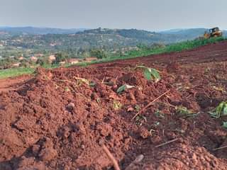 A picture of Quick sale plots for sale in katende 0756637649