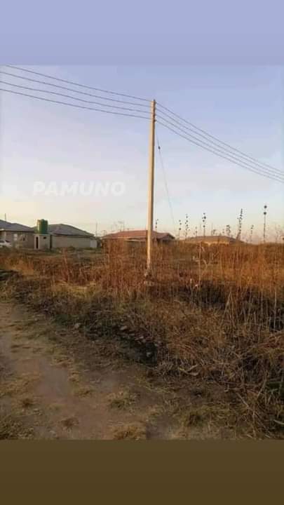 stands