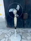 A picture of NAUZ FENI ANIKO PANGA BOI PROLITE
