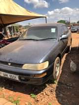 A picture of Kikumi 0701057114 6 5m slightly negotiable