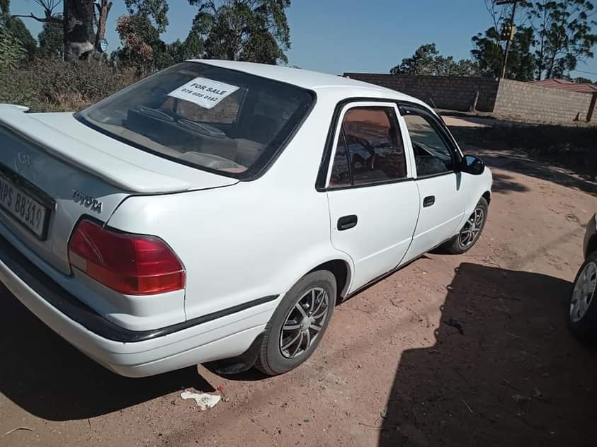 BAKKIES F.