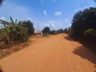 A picture of 50 100ft titled plots at wakiso Bukalango touching amain murram