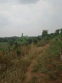A picture of Plot 20x50 ft at 4millions for sale call 0705873033 in
